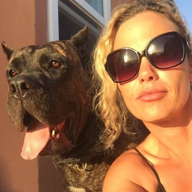 ADT | Presa Canario Breed Ambassador